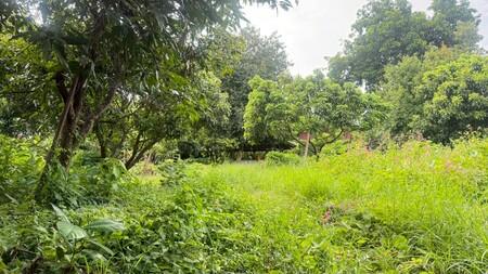 ขายที่ดิน ใกล้โรงเรียนปรินส์ฯ ต.ฟ้าฮ่าม จ.เชียงใหม่ 3