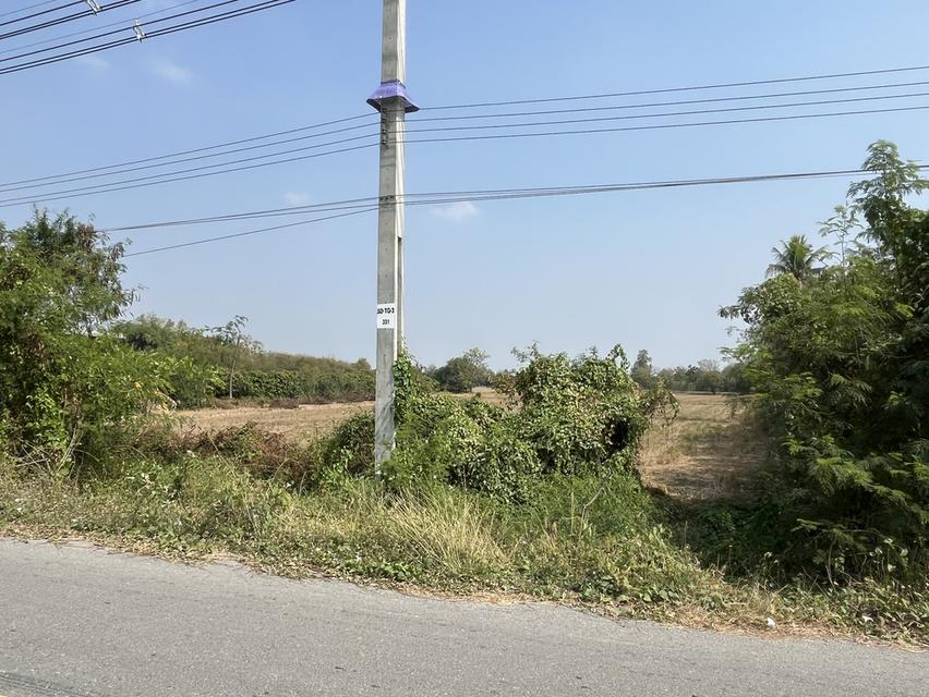 ✨ขายที่นา ทำเลทอง 10 ไร่ ติดถนนใหญ่ + คลองชลประทาน – ต.ย่านยาว อ.สามชุก จ.สุพรรณบุรี✨ 7