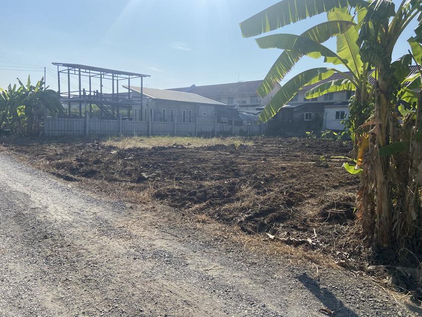 ขายที่ดิน ย่านชุมชน คลอง 2 คลองหลวง 200 ตรวฺ 2