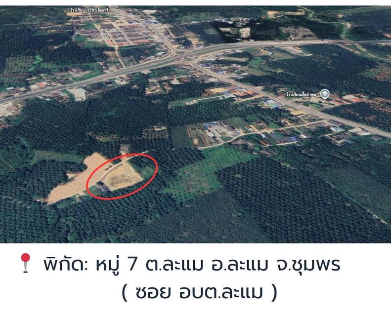 ที่ดิน ในเขตอำเภอละแม จังหวัดชุมพร 1