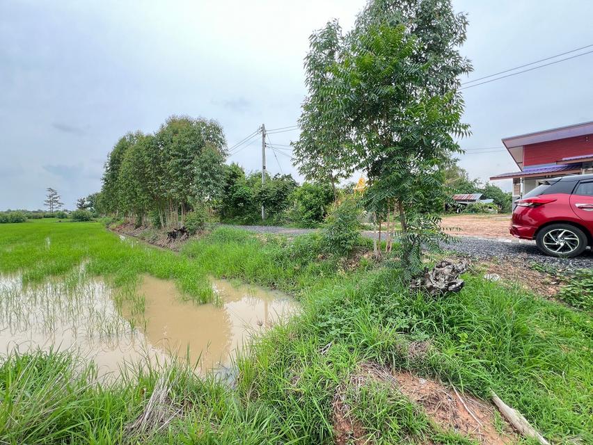 ที่ดิน ที่นา ที่อยู่อาศัย ที่ดินเปล่า 6