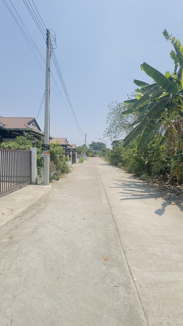 ที่ดินเปล่า จังหวัดเชียงใหม่ สารภี 6