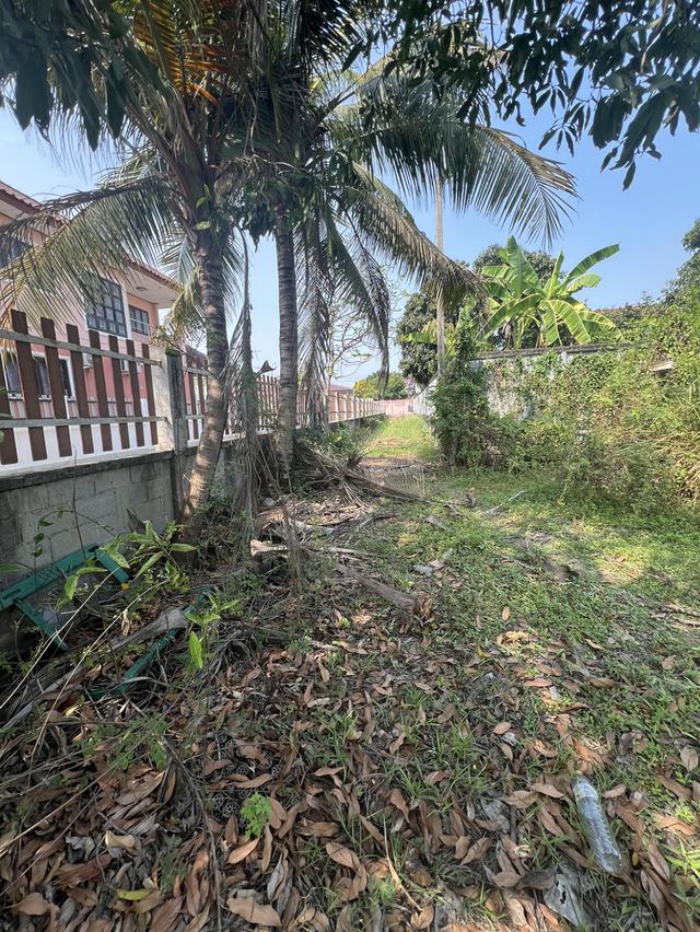 ขายที่ดิน ซ.กันตนา เนื้อที่ 152 ตรว. 2