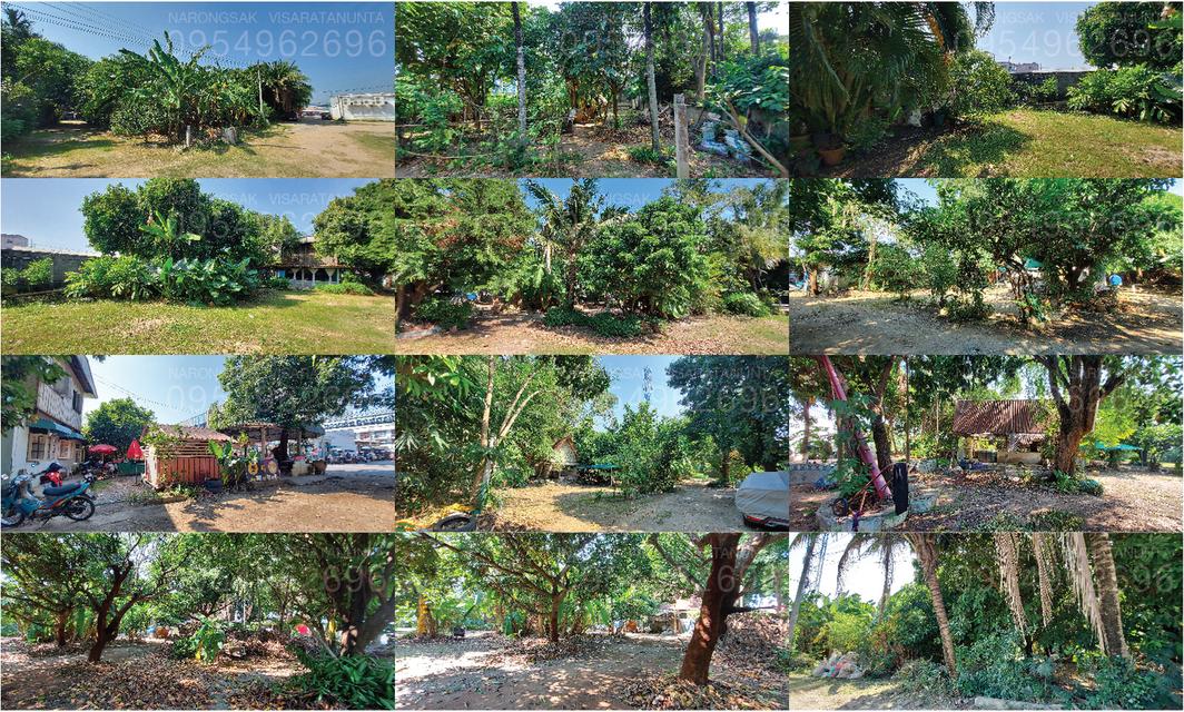 ขายที่ดิน อ.สัตหีบ จ.ชลบุรี 4