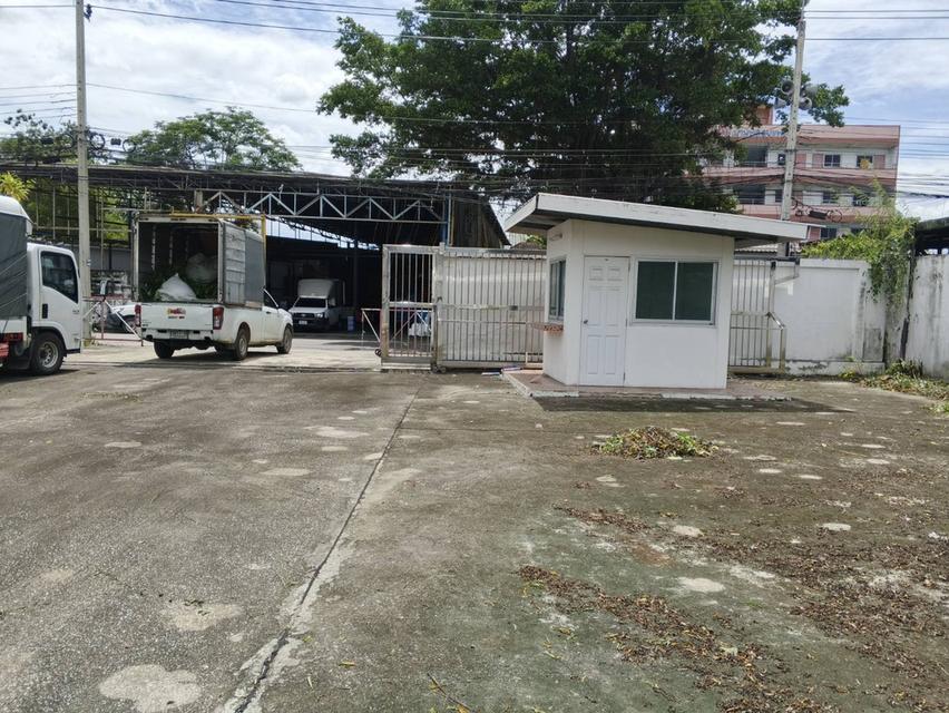 ขายที่ดินพร้อมสิ่งปลูกสร้าง เนื่อทีา603ตารางวา 6