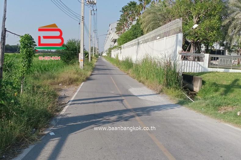 ที่ดินเปล่า(ยังไม่ถม) ซอยบ้านจิตธรรมดี-ลาดบัวหลวง (ตรงข้ามสวนอินทผาลัม) เนื้อที่ 2 ไร่ 800 ตรว. ถนนสายเอเชีย ตำบลพระยาบันลือ อำเภอลาดบัวหลวง 7