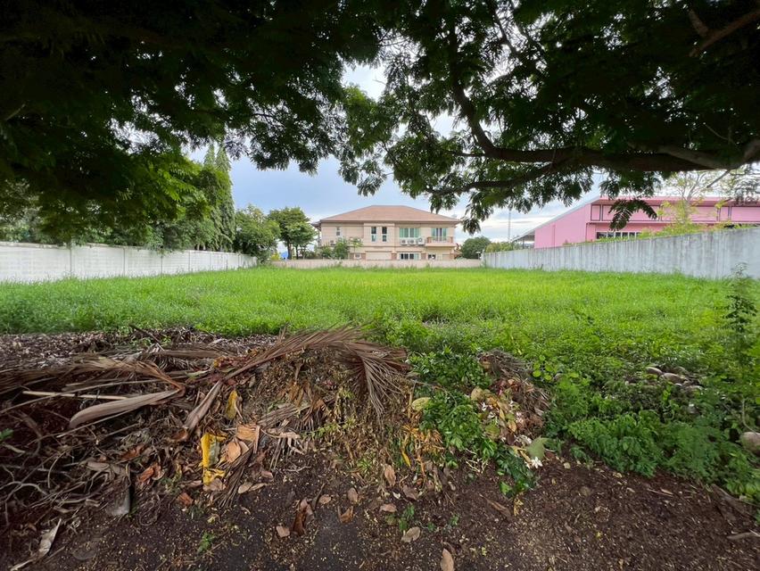 ขายที่ดินเปล่าถมแล้ว หมู่บ้านกรีนวัลเล่ย์ บางนา-ตราด กม.15 แปลงสวย ทำเลดี พร้อมสร้างบ้าน 1