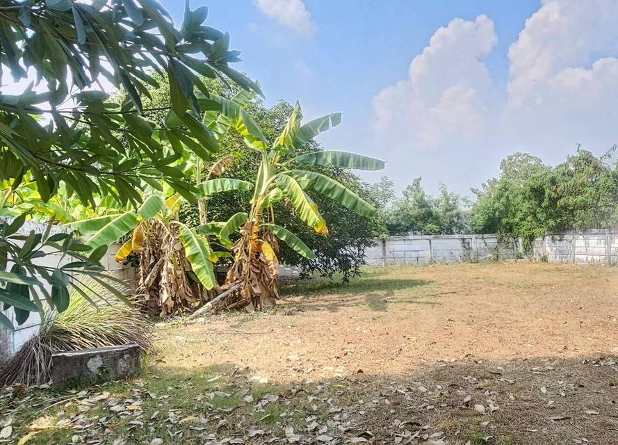 ขายที่ดินพร้อมสิ่งปลูกสร้าง 1 ไร่ ติดถนนหทัยราษฎร์ ใกล้หมู่บ้าน เค.ซี.รามอินทรา 10