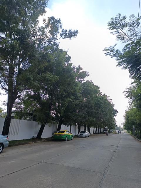 ขายที่ดินจัดสรรทำเล วัชรพล ตร.วาละ 55,000 บาท 5