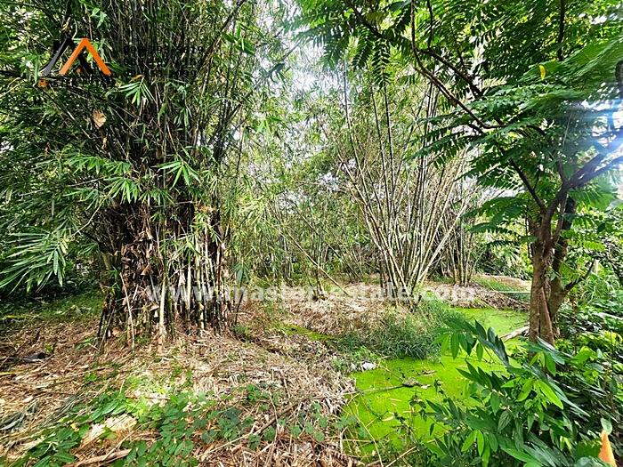 ที่ดินเปล่า 250 ตร.ว. ไทรม้า ซอย 11 (บางอ้อ 2) ติดถนนสาธารณะ ทรงสี่เหลี่ยมสวย ราคาลดประชดเศรษฐกิจ มีแค่ 3 แปลงเท่านั้น 9