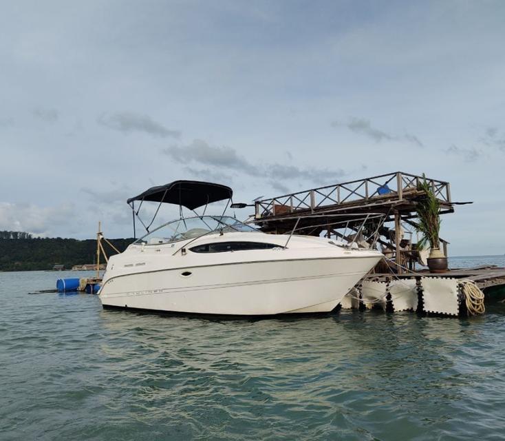 ขาย Bayliner Ciera 2455 4