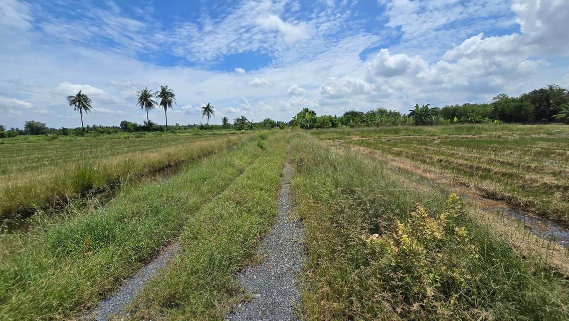 ขายด่วนที่ดิน 600 ตรว ติดถนนสาธารณะ ต.มหาสวัสดิ์ อ.พุทธมณฑล จ.นครปฐม 10
