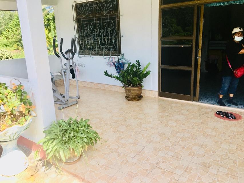 ขาย บ้านเดี่ยว เขาขาว ทุ่งสง 300 ตรม. 352.7 ตร.วา ติดถนนใหญ่ 2ด้าน ใกล้อบต.เขาขาว ทำการค้าได้ บรรยากาศดี