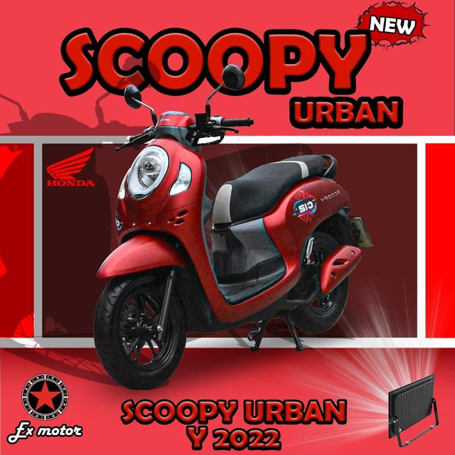 Honda Scoopy Club12 1