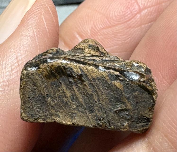 พระผงสุพรรณ พิมพ์หน้ากลาง รูปที่ 8