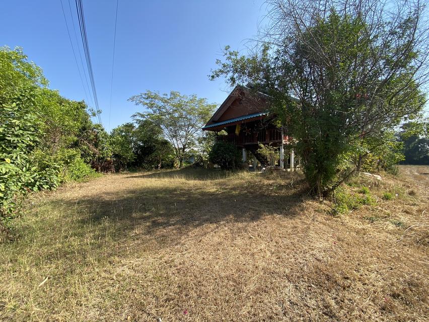 ขายบ้านพร้อมที่ดินด่วน(ติดจำนอง) 2