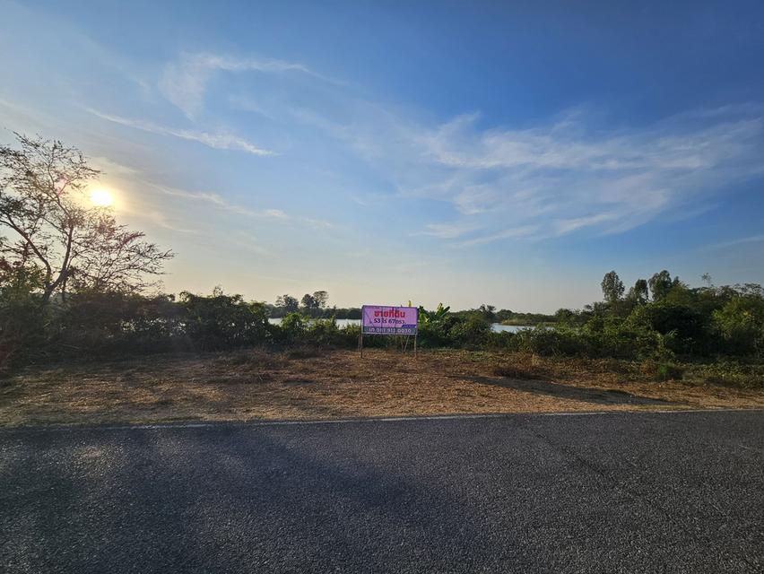 ขายที่ดินแปลงใหญ่พร้อมบ่อน้ำ 53 ไร่ ติดถนน (ใกล้ถนน 3064) ต.โคกพุทรา อ.โพธิ์ทอง จ.อ่างทอง โฉนดพร้อมโอนทันที เหมาะสำหรับ ทำฟาร์ม เกษตรกรรม 6