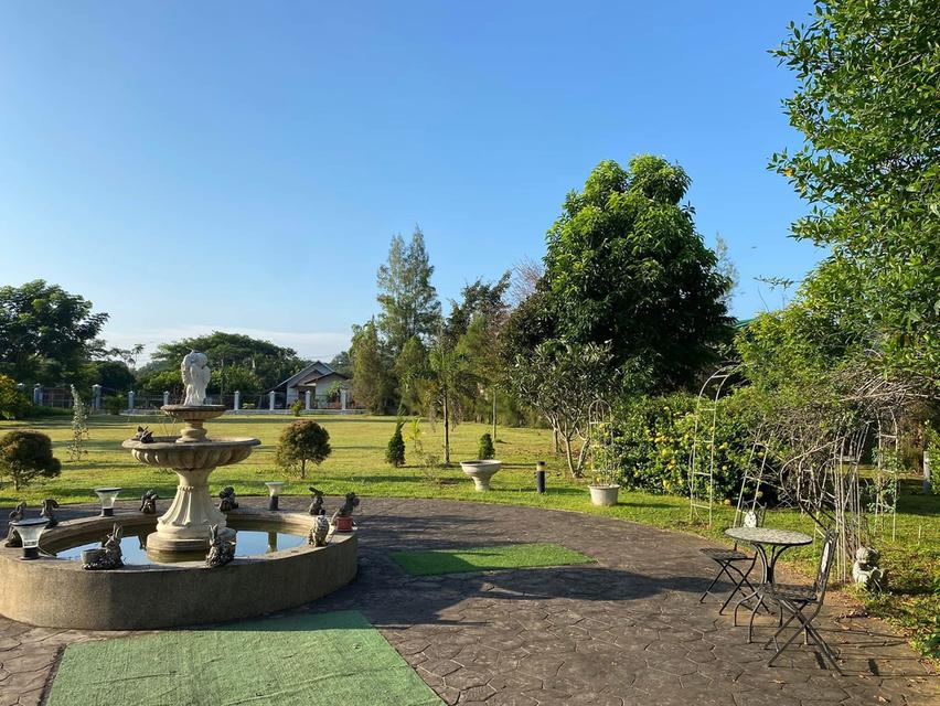 ขายบ้านสวยอยู่สบายอำเภอเมืองเชียงราย เจ้าของขายเอง — วิวภูเขา น้ำไม่เคยท่วม ทำเลดี เหมาะทั้งอยู่อาศัยและทำธุรกิจ 6