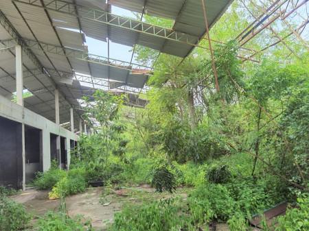 ขาย ที่ดิน FA035 ที่ดิน ราคาถูก ทำเลดี หมอนนาง พนัสนิคม ชลบุรี . 3200 ตรม 4 ไร่ กำแพงล้อมรอบ ห่างถนน 3284 เพียง 500 m 5