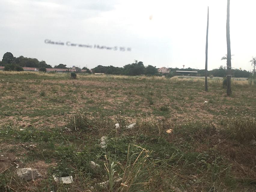 ขายที่ดิน บึง ศรีราชา 39.5ไร่ หรือ ให้เช่าระยะยาวที่ดินตำบลบึง ศรีราชา ชลบุรี ที่ดินติดถนน 3ด้านเนื้อที่รวม 39-2-97ไร่ ใกล้ตลาดวรกิจใกล้คู่ขนาน 5