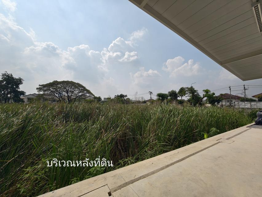ขายที่ดินเปล่า ไทรม้า นนทบุรี ใกล้แม่น้ำเจ้าพระยา ขายยกแปลง เจ้าของขายเอง 10