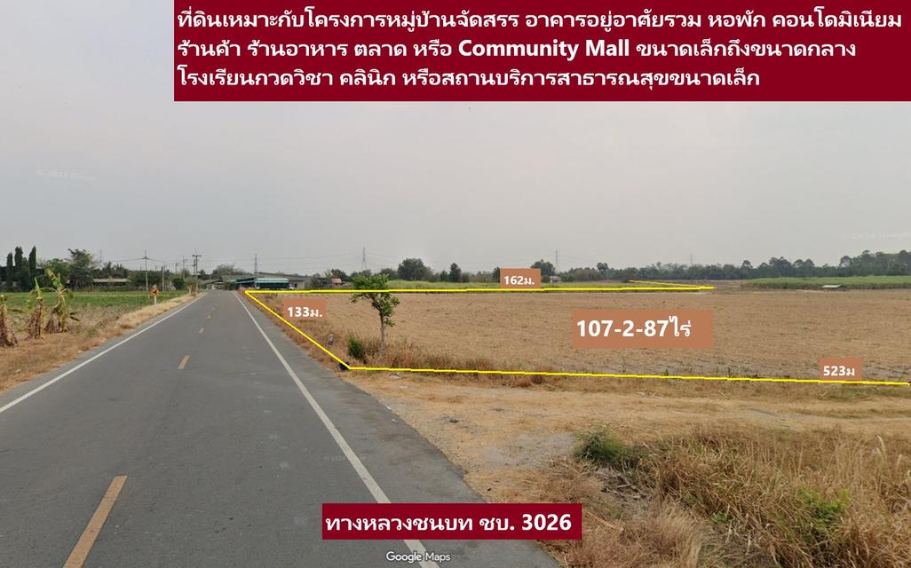 #ขายที่ดิน107ไร่ ต.หนองชาก อ.บ้านบึง ใกล้วัดเนื้องจำนงค์ 2