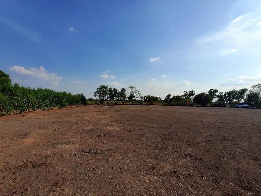 ขายที่ดินคลองห้า 2 ไร่ แปลงมุม ถมแล้ว ติดถนนคอนกรีต ซอย กลั่นกรอง อ.คลองหลวง จ.ปทุมธานี 3