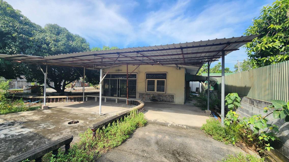 ขายที่ดิน 419ตร.วา ซ.สุขสวัสดิ์33 กรุงเทพ 4