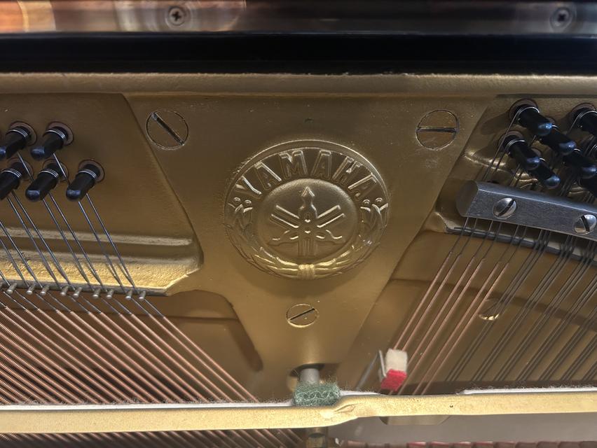 เปียโน Yamaha U3 กว้าง 153 cm สูง 130 cm หนา 65 cm รูปที่ 6