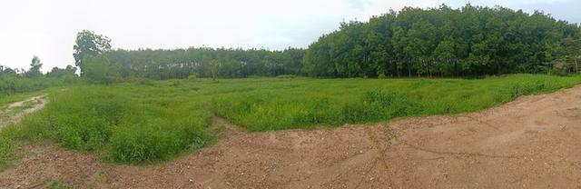 ขายที่ดินติดคลอง 5