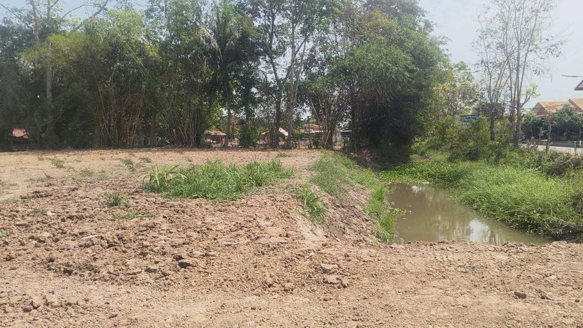 ขายที่ดิน ขนาดพื้นที่ 2 ไร่ 10 ตร.ว.  ราคา 4.99 ล้านบาท 6