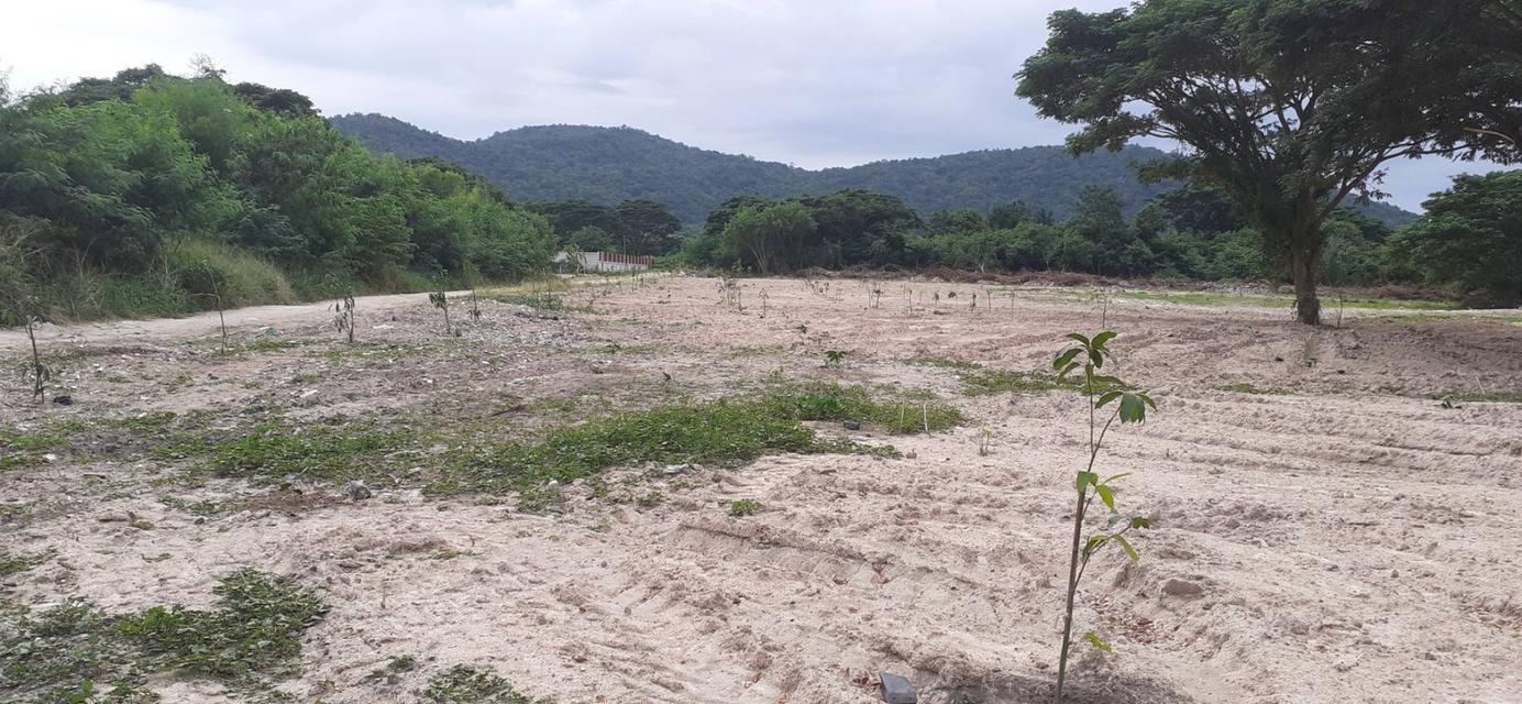 ขายที่ดินอำเภอหัวหิน 12 ไร่ 2