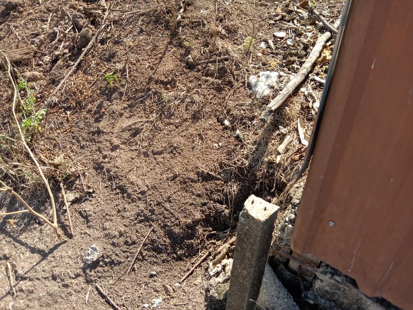 ที่ดิน 100 ตรว. บ่อเงินซอย 8 ต.บ่อเงิน อ.ลาดหลุมแก้ว จ.ปทุมธานี 10