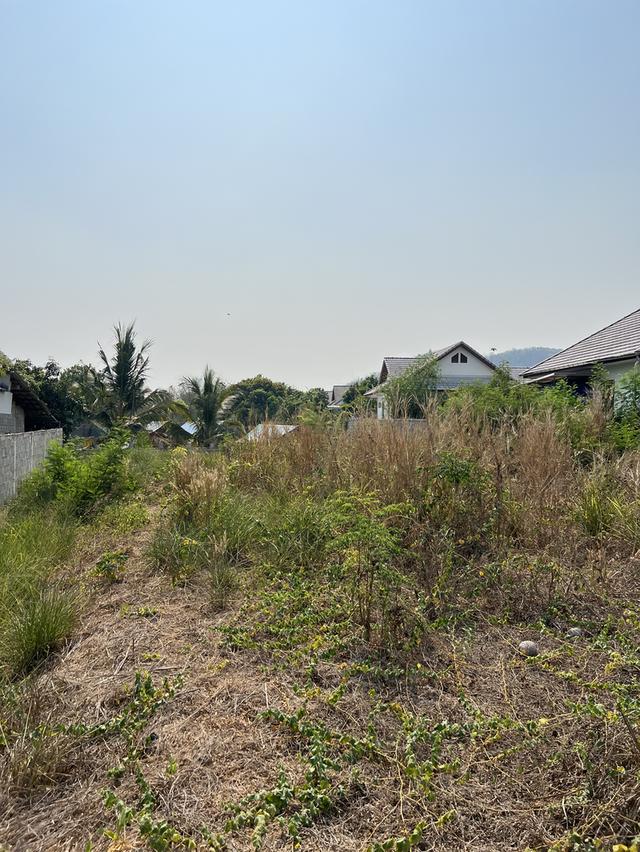 ที่ดินสวย ทำเลดี ติดถนนลาดยาง ราชบุรี 5