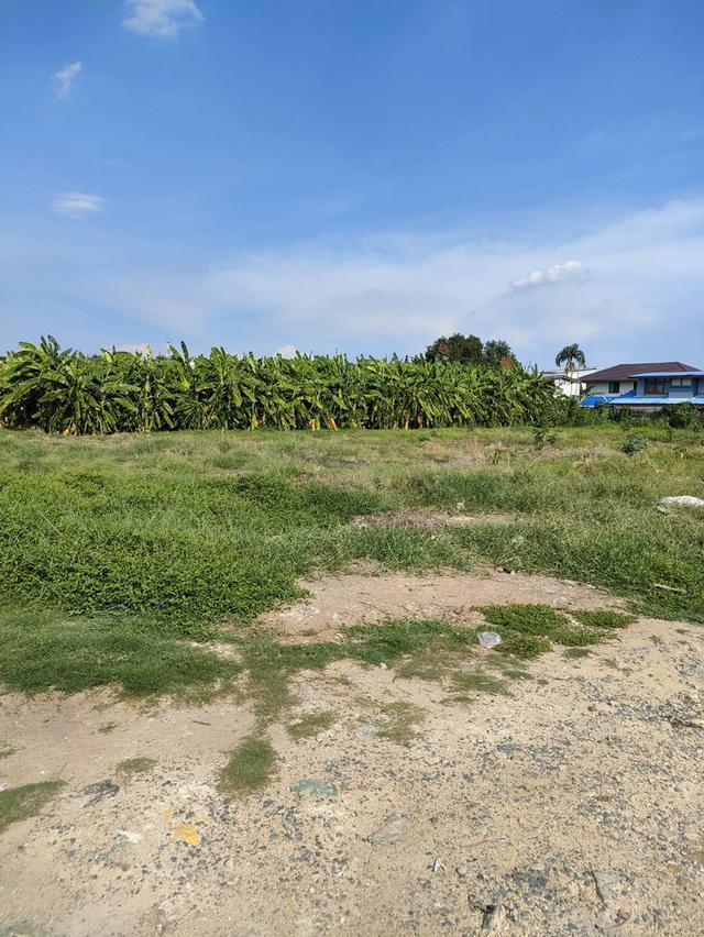 ให้เช่าที่ดินเปล่าถมแล้วในถนนนวลจันทร์ กรุงเทพมหานคร 8