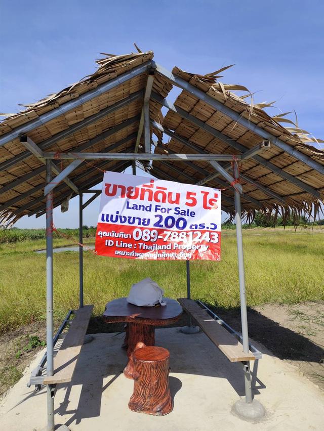 ขายที่ดินเปล่า มีแหล่งน้ำใสสองบ่อ เนื้อที่แบ่งขายได้  แบ่งได้ 200 ตรวขึ้นไป Sale land Nakhon Pathom nice view 5