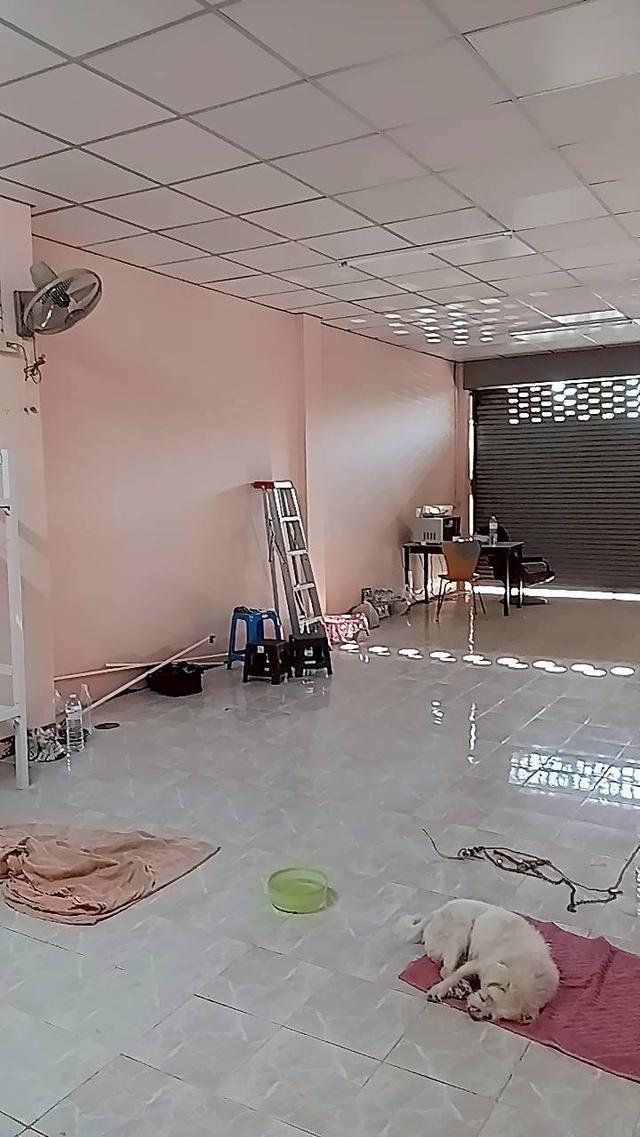 ขายอาคารพาณิชย์ 3 ชั้น 2 คูหาติดกัน อ.กบินทร์บุรี ปราจีนบุรี ติดถนนสุวรรณศร 13