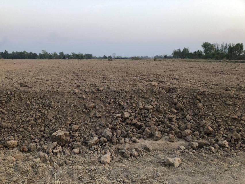 ที่ดินเปล่าพร้อมปลูกสร้างที่อยู่อาศัย 8