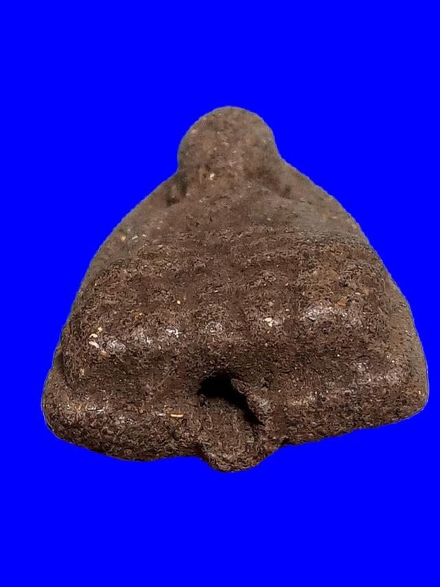 หลวงปู่ทวดเนื้อว่าน 2497 5