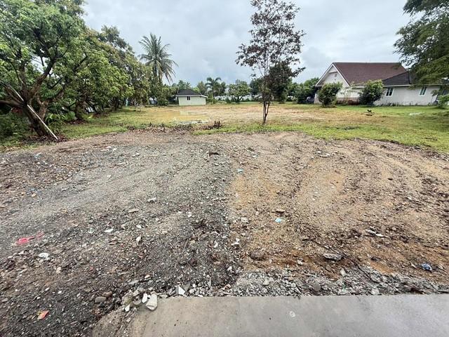 ขายที่ดิน 55ตรว. 750,000บ. ถนน น้ำ ไฟฟ้า ใกล้ตลาดป่าเหมือด ซอยบ้านแม่ดู บ้านทุ่งยาว ต.สันทรายหลวง อ.สันทราย เชียงใหม่