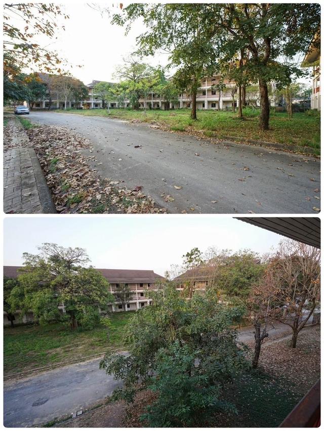 ที่ดินเชียงใหม่ต่ำกว่าราคาประเมิน ขายที่ดินในเมืองเชียงใหม่ 1