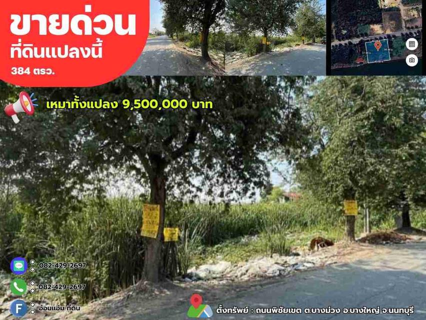 🎯ขายที่ดินเปล่า 384ตรว.ติดถนน พิชัยเขต ต.บางม่วง อ.บางใหญ่ จ.นนทบุรี  