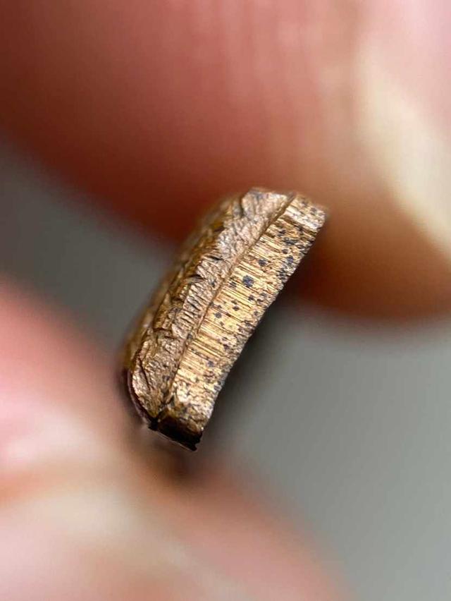 ปรกจ้อย หลวงปู่ทิม อิสริโก 6