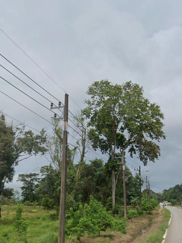 ขายที่ดิน แปลงใหญ่ อ.เกาะช้าง จ.ตราด Seaview  ขนาด 6-1-21.3 ไร่  ใกล้ท่าเทียบเรือเกาะช้าง 5