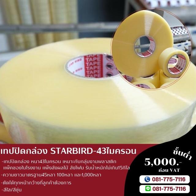 เทปใส เทปปิดกล่อง43ไมครอน สก็อตเทปยี่ห้อสตาเบิต 081-7757116 4