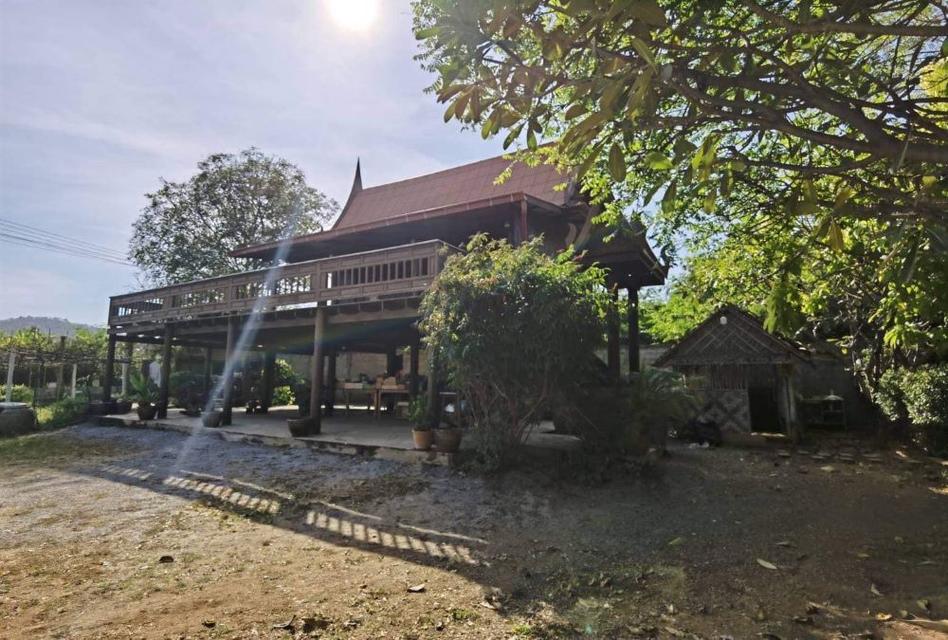 บ้านเรือนไทย สวยท่ามกลางธรรมชาติ บรรยากาศร่มรื่น วิวภูเขา บนพื้นที่ 1 ไร่ อู่ทอง สุพรรณบุรี 4