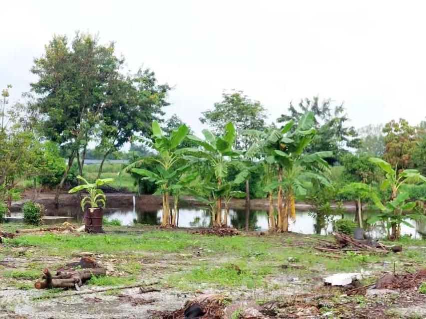 ขายโรงงานรีไซเคิลน้ำมัน – พร้อมใบอนุญาต รง.4 (105)(106) อ.พานทอง จ.ชลบุรี 11