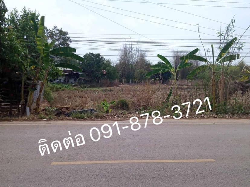 🔔ประกาศขายที่ดิน  📍ตั้งอยู่ : บ้านนาโพธิ์นาจาน ม.2 ต.หนองกะท้าว อ.นครไทย จ.พิษณุโลก ✅ พื้นที่ 1 ไร่  2