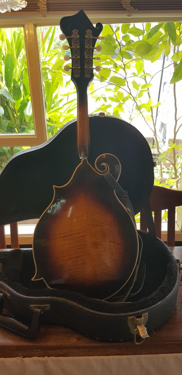 เครื่องดนตรี Mandolin Kentucky (USA) 3