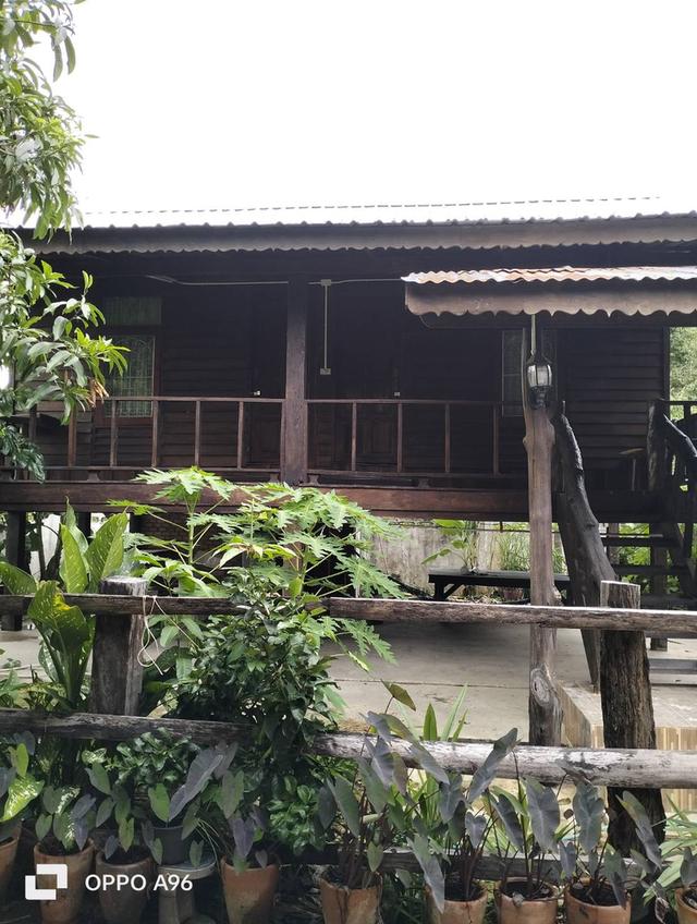บ้านว่างให้เช่า 2 ห้องนอน 2 ห้องน้ำใหญ่ค่าไฟตามองค์กรไฟฟ้า 1